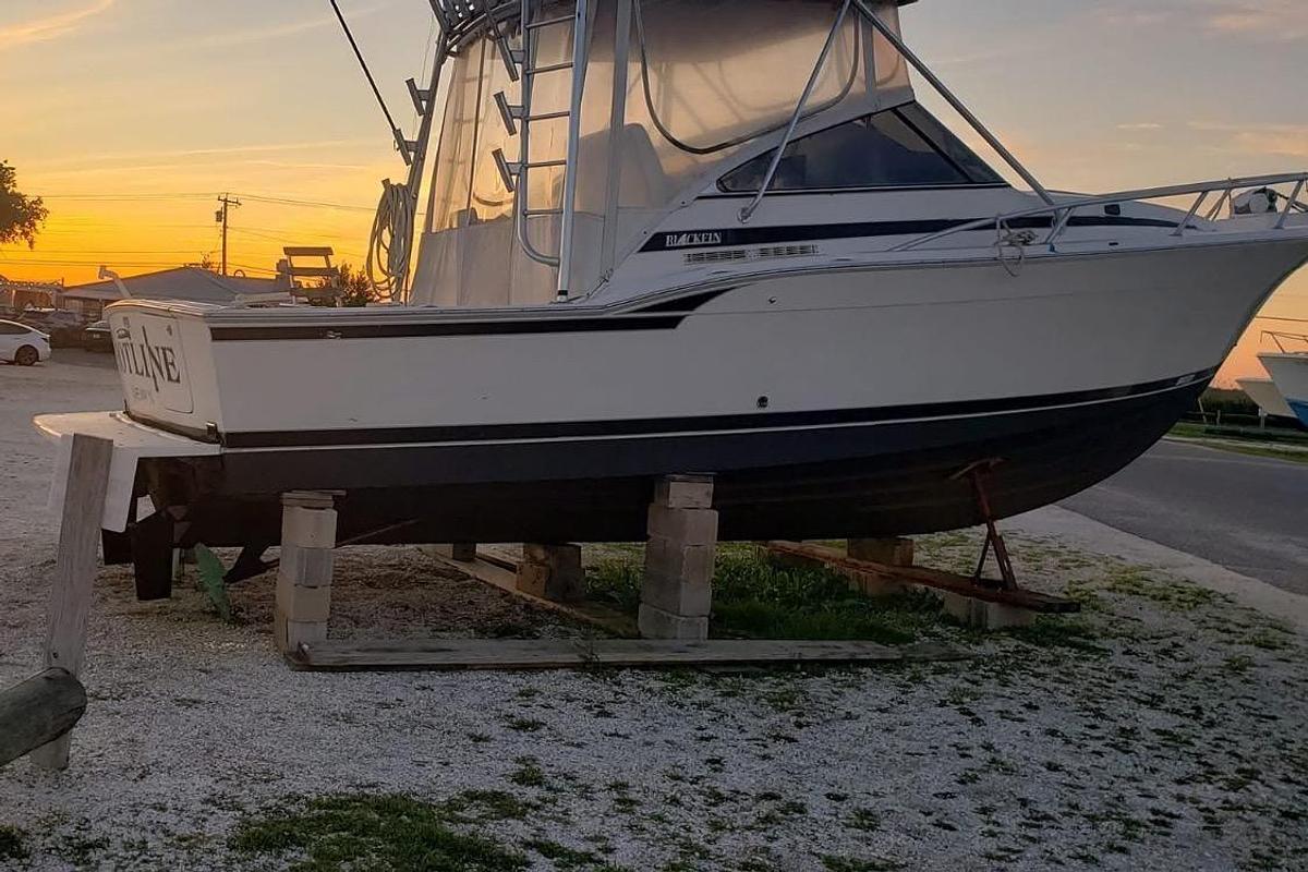 1995 Blackfin 31 Combi
