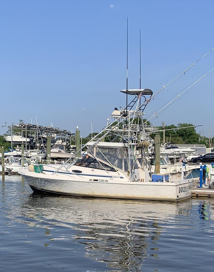 1990 Blackfin 32 Combi