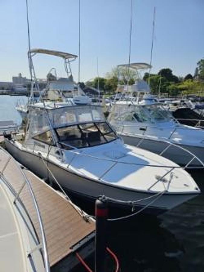 1997 Carolina Classic Express Sportfisherman