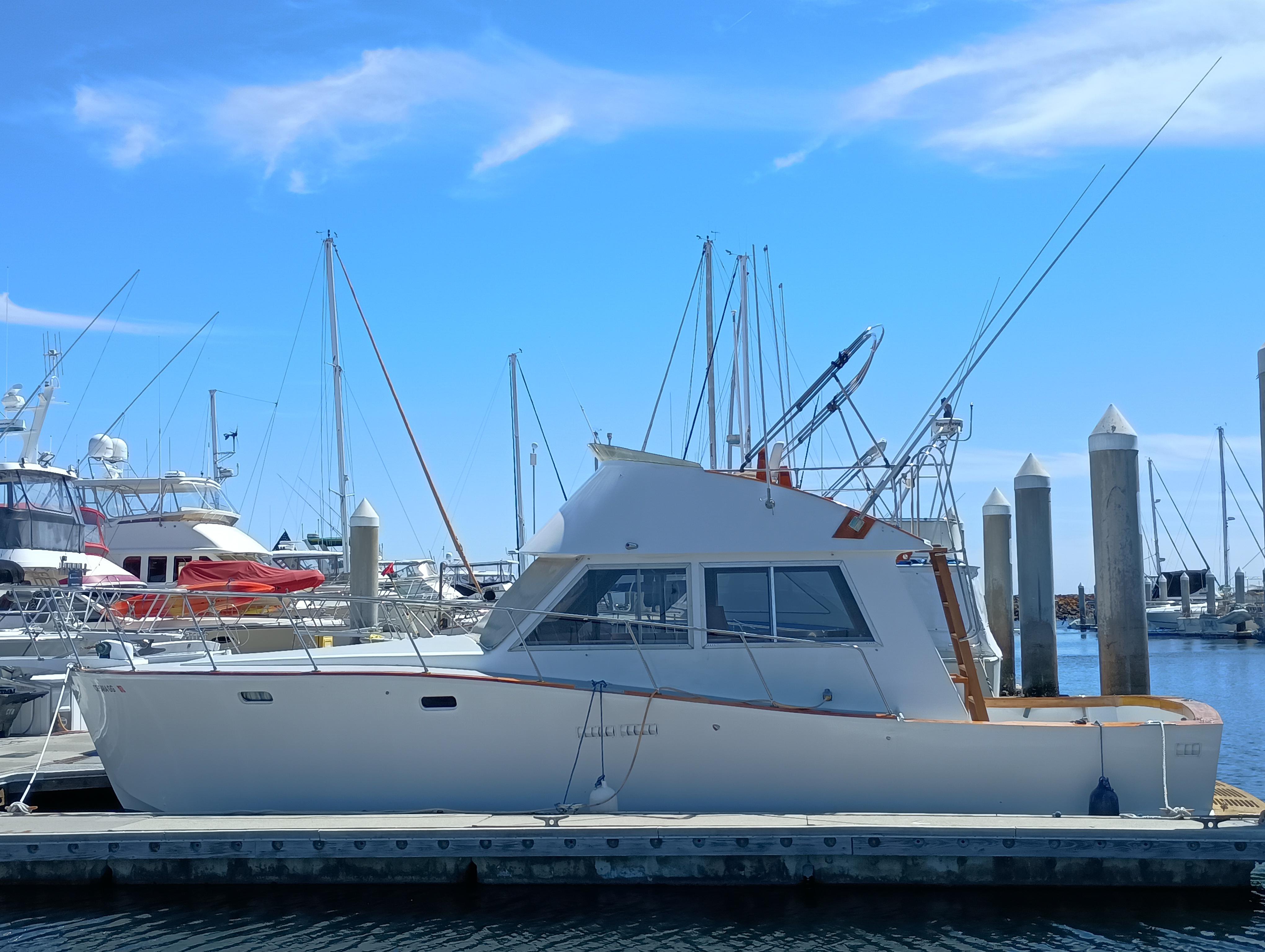 1978 Pacific Bluefin SPF