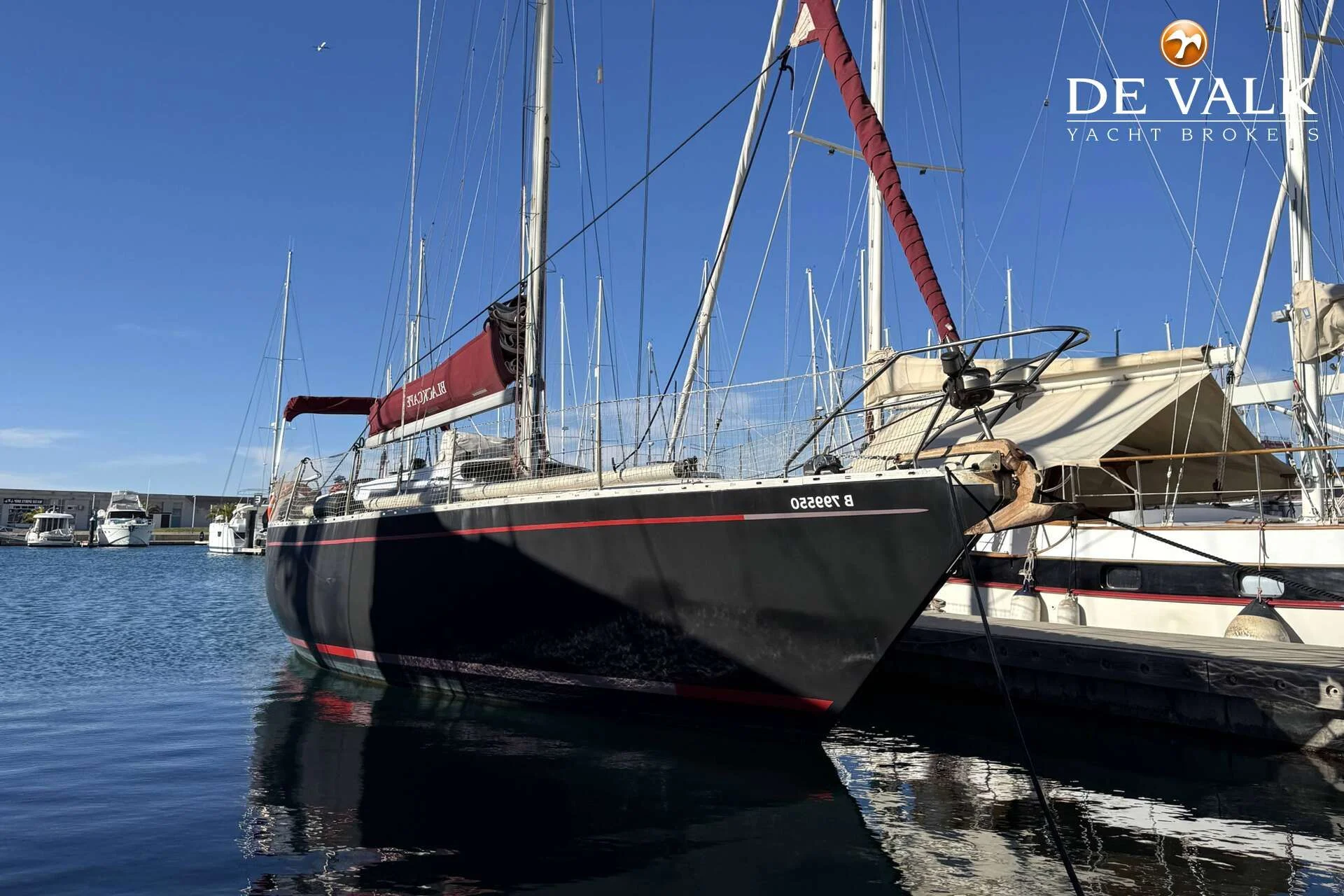 1980 ALB Sail 41