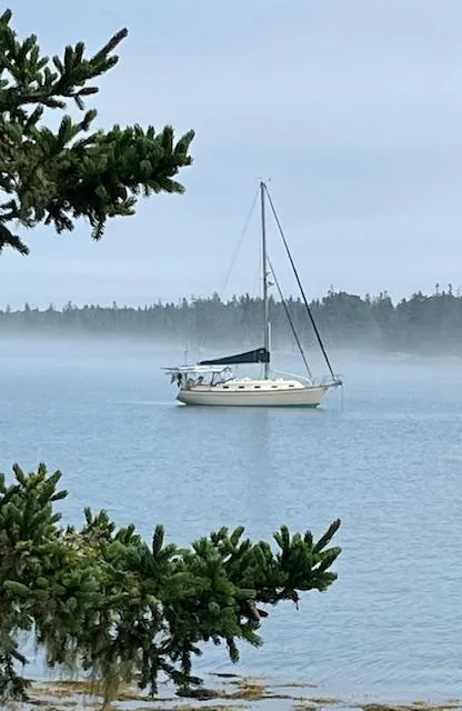 1997 Island Packet 350