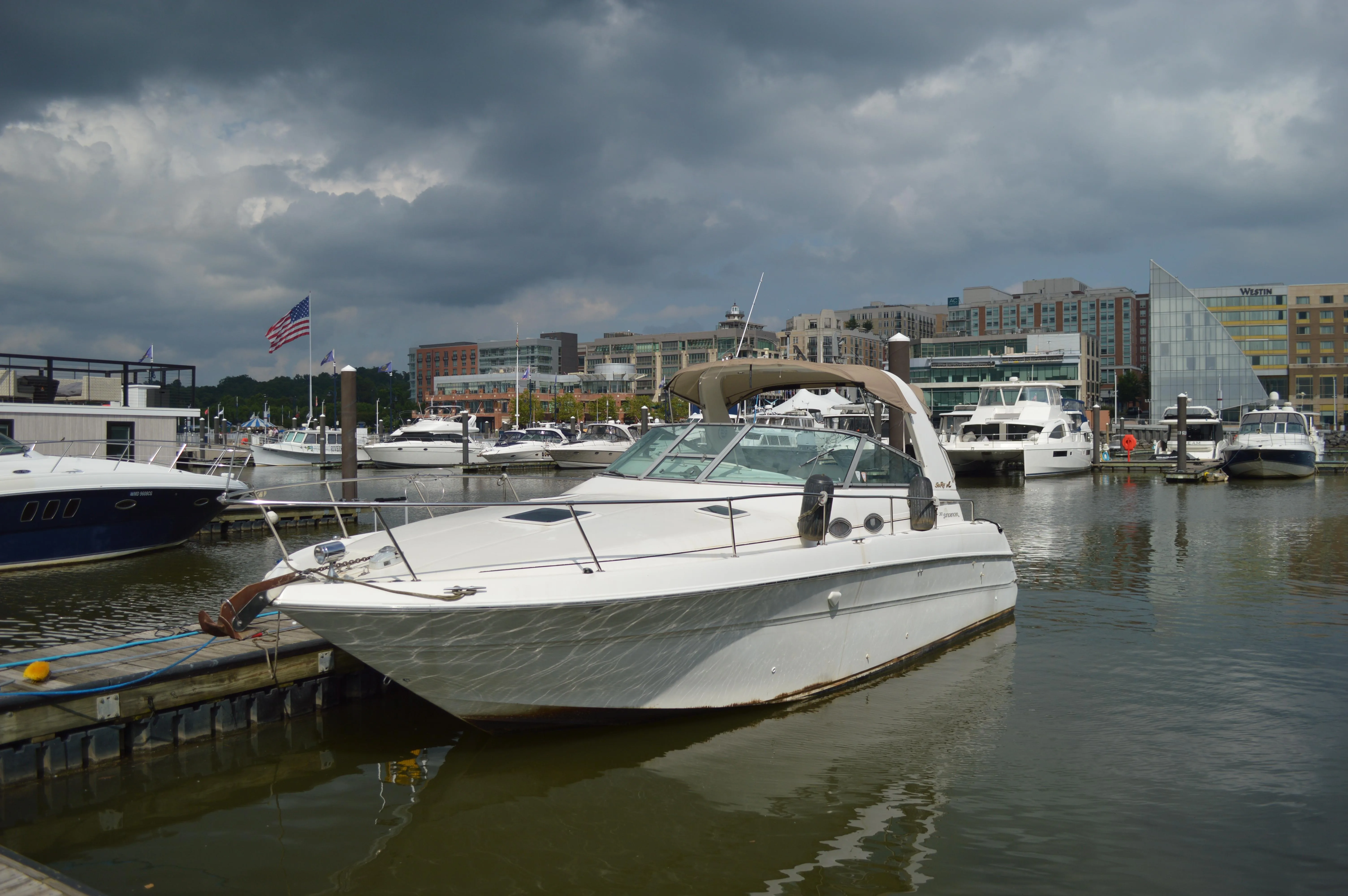 1998 Sea Ray Sundancer 310